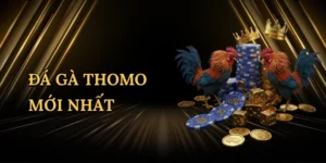 da-ga-thomo-moi-nhat-1