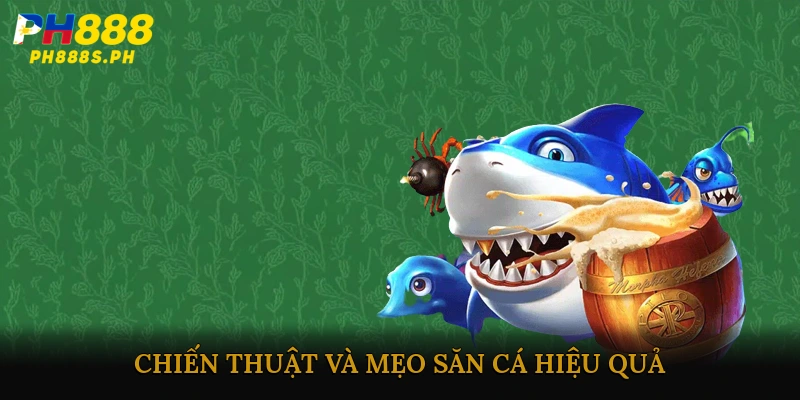 Chiến thuật và mẹo săn cá hiệu quả