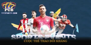 cược thể thao đối kháng