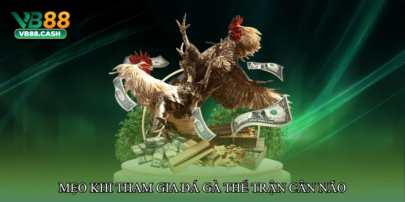 Mẹo nâng cao khi tham gia Đá gà thế trận cân não