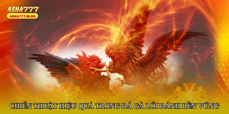 Chiến thuật hiệu quả trong Đá gà lối đánh bền vững