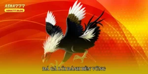 Đá gà lối đánh bền vững