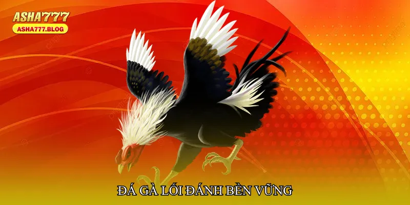 Đá gà lối đánh bền vững