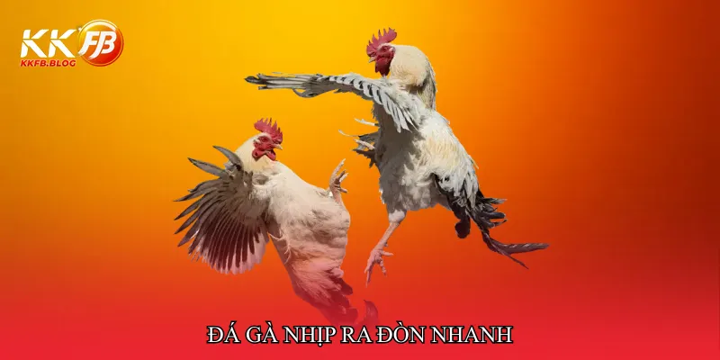Đá gà nhịp ra đòn nhanh