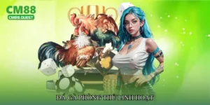 Đá gà phòng thủ linh hoạt