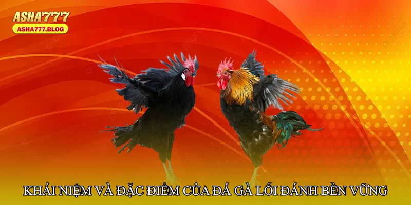 Khái niệm và đặc điểm của Đá gà lối đánh bền vững