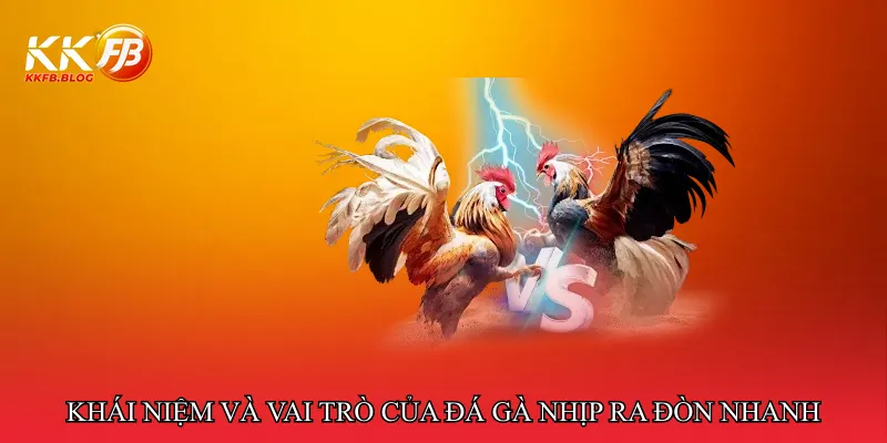 Khái niệm và vai trò của đá gà nhịp ra đòn nhanh